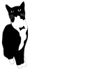Tuxedo Cat Games